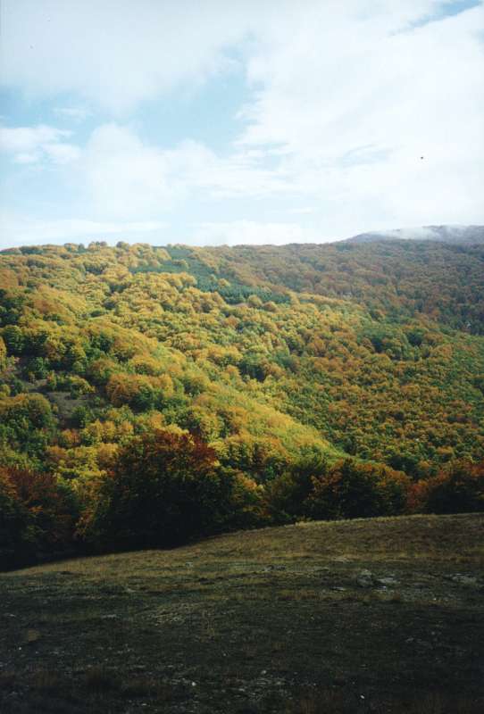 02. Φθινοπωρινά χρώματα στο Βέρνο.