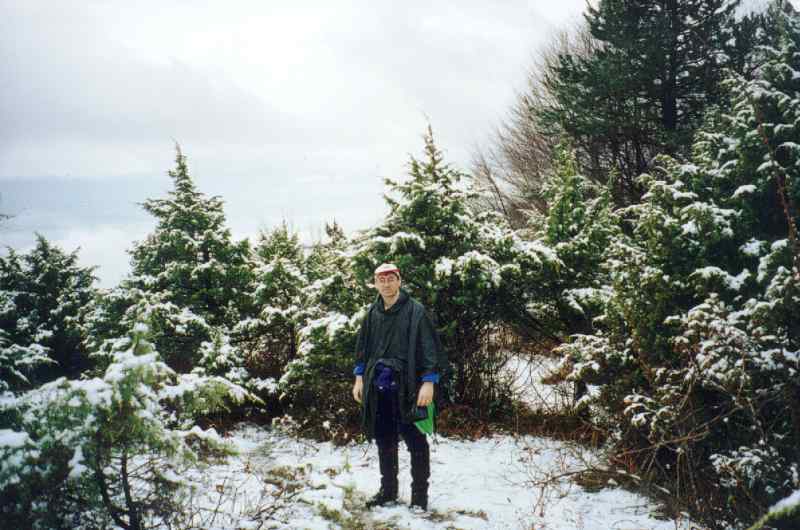 16. Ανάμεσα στα χιονισμένα δέντρα.